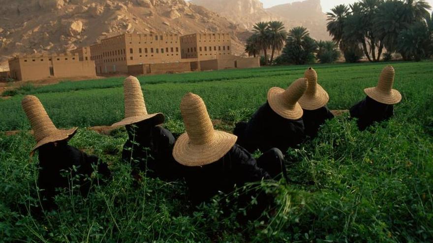 'National Geographic' ilumina Castelló con los colores del mundo