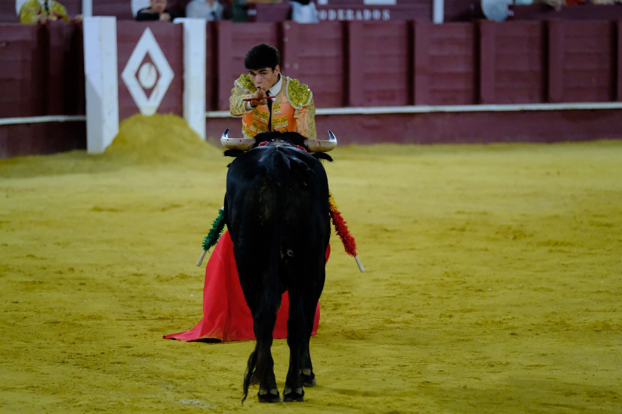 Toros en la Feria | Novena corrida de abono en La Malagueta: 3ª Semifinal de las Escuelas Taurinas