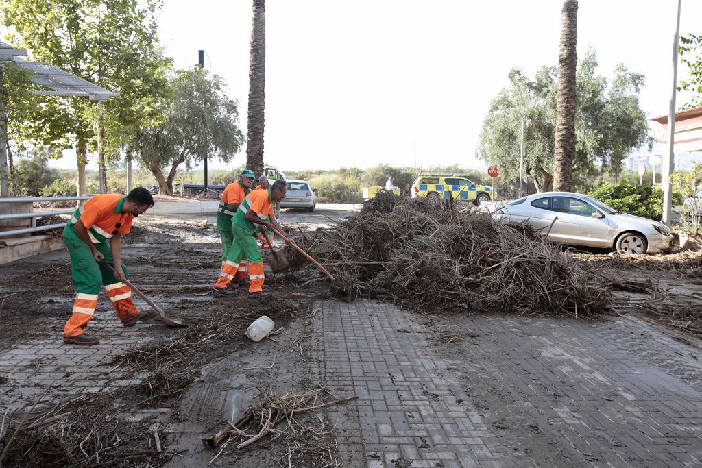 Estas son las imágenes que deja la DANA a su paso por Águilas