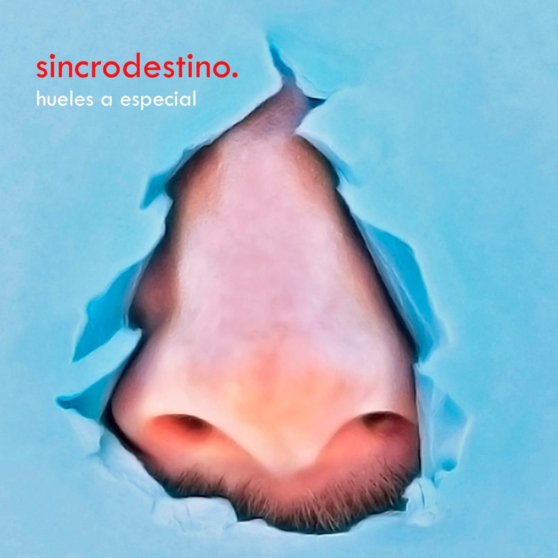 Foto de 'Hueles a especial' primer sencillo de Sincrodestino