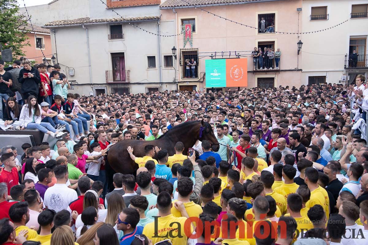 Así ha sido la entrega de premios del concurso morfológico de los Caballos del Vino de Caravaca