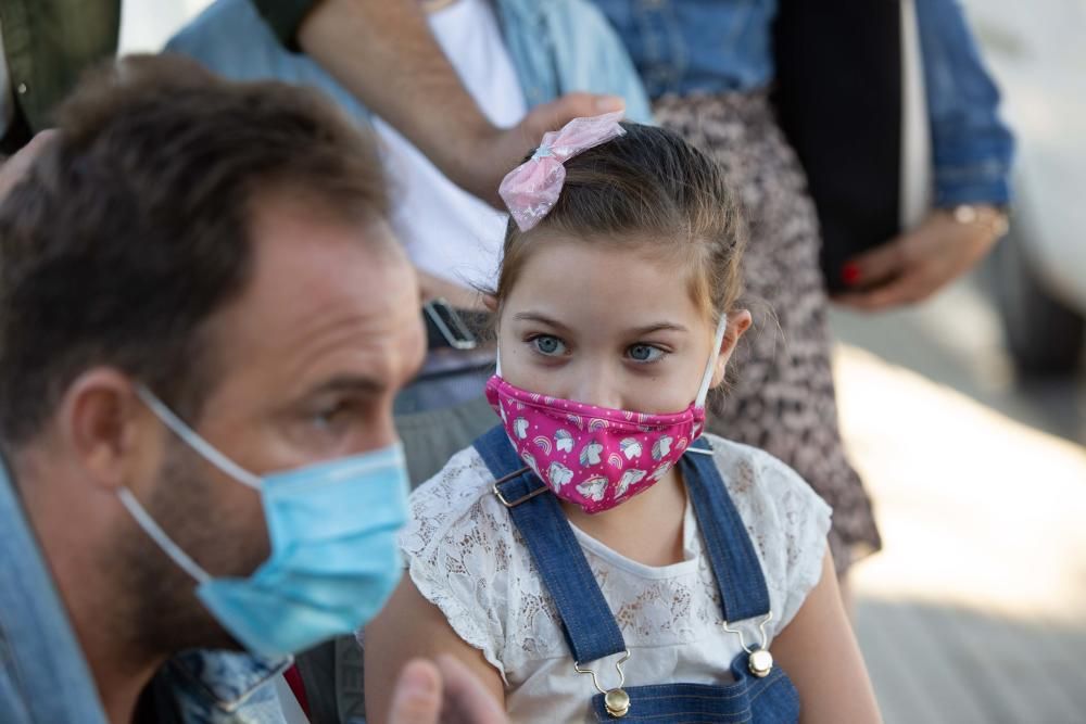 Proyecto Juntos financia, a través de una donación, la compra de una perra de asistencia para una niña con parálisis cerebral