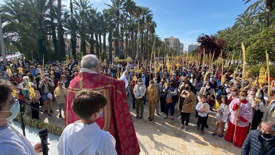 Petición de Palma el domingo de Ramos en Elche