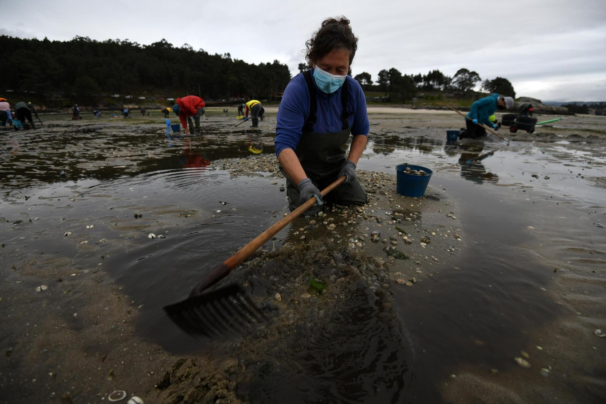 Las mariscadoras vuelven a faenar