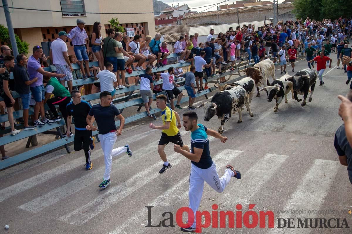 Primer encierro de la Feria del Arroz de Calasparra