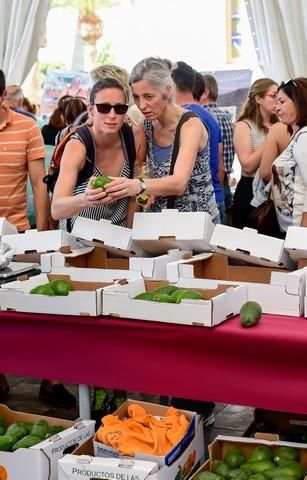 II Feria del Aguacate en Arguineguín