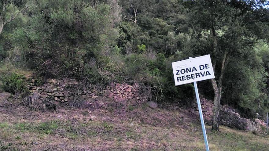 Disparan al cazador de la Llosa que los pilló en un coto privado