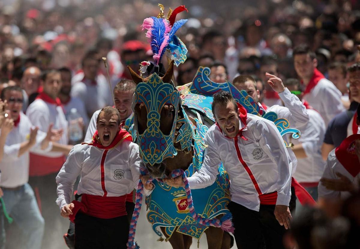 Festejos de los Caballos del Vino