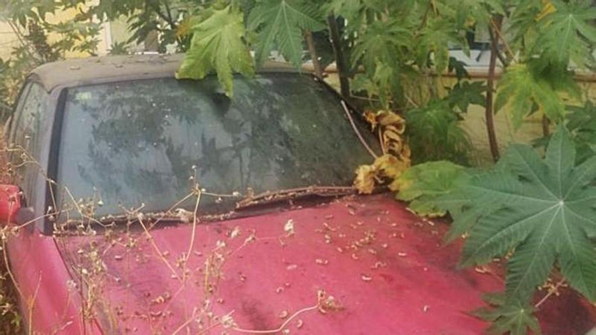 Un coche abandonado en Santa Cruz de Tenerife.