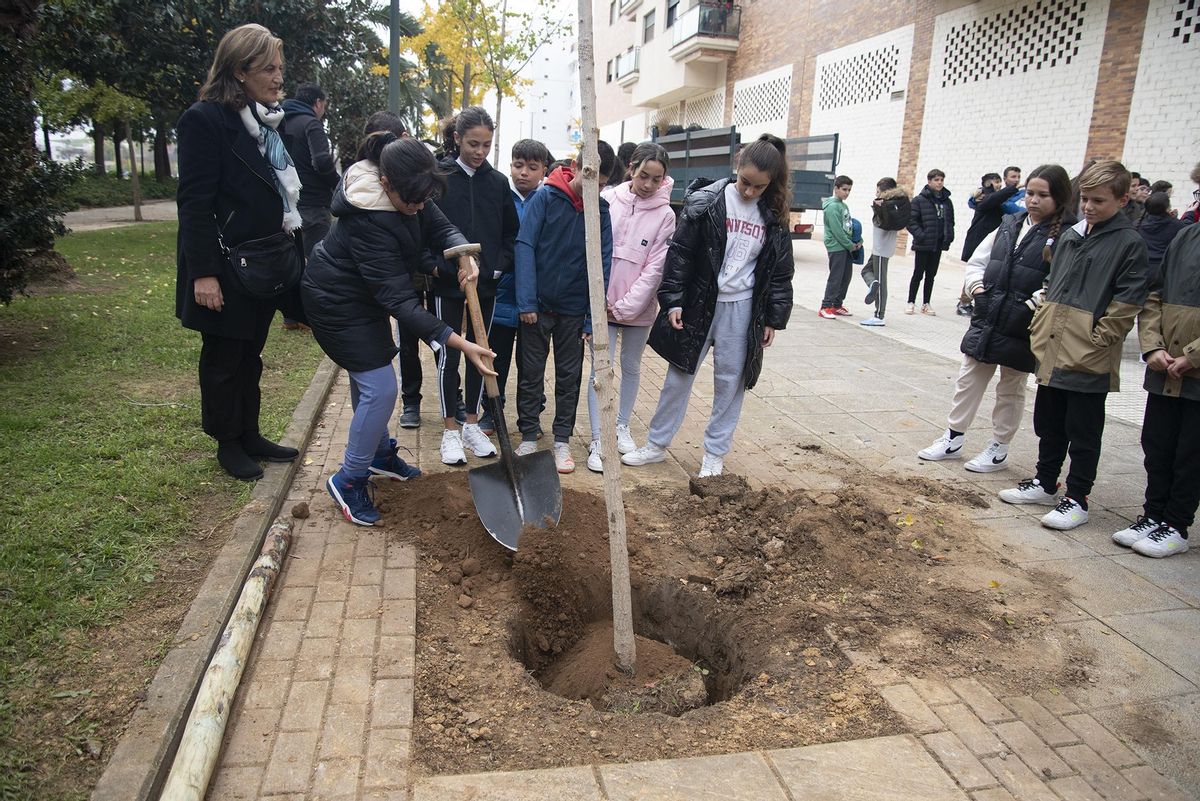 Una alumna echa tierra sobre las raíces del árbol.