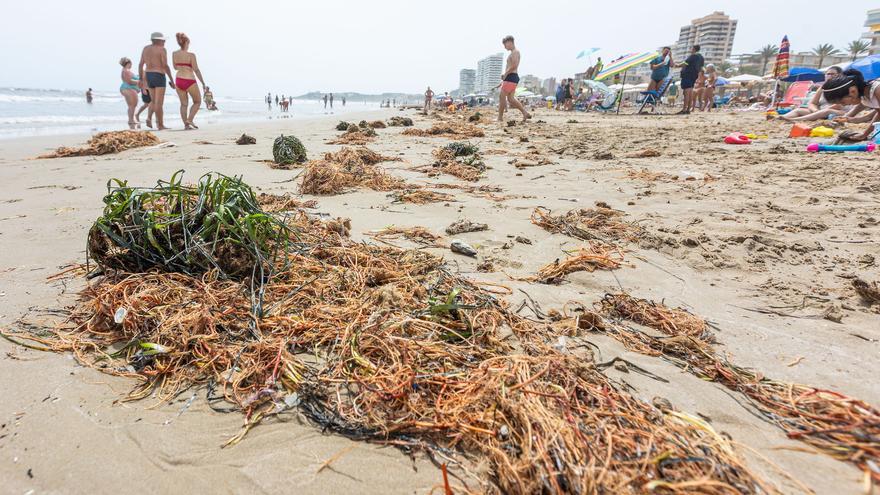 Los efectos del temporal continúan siendo visibles en Playa de San Juan