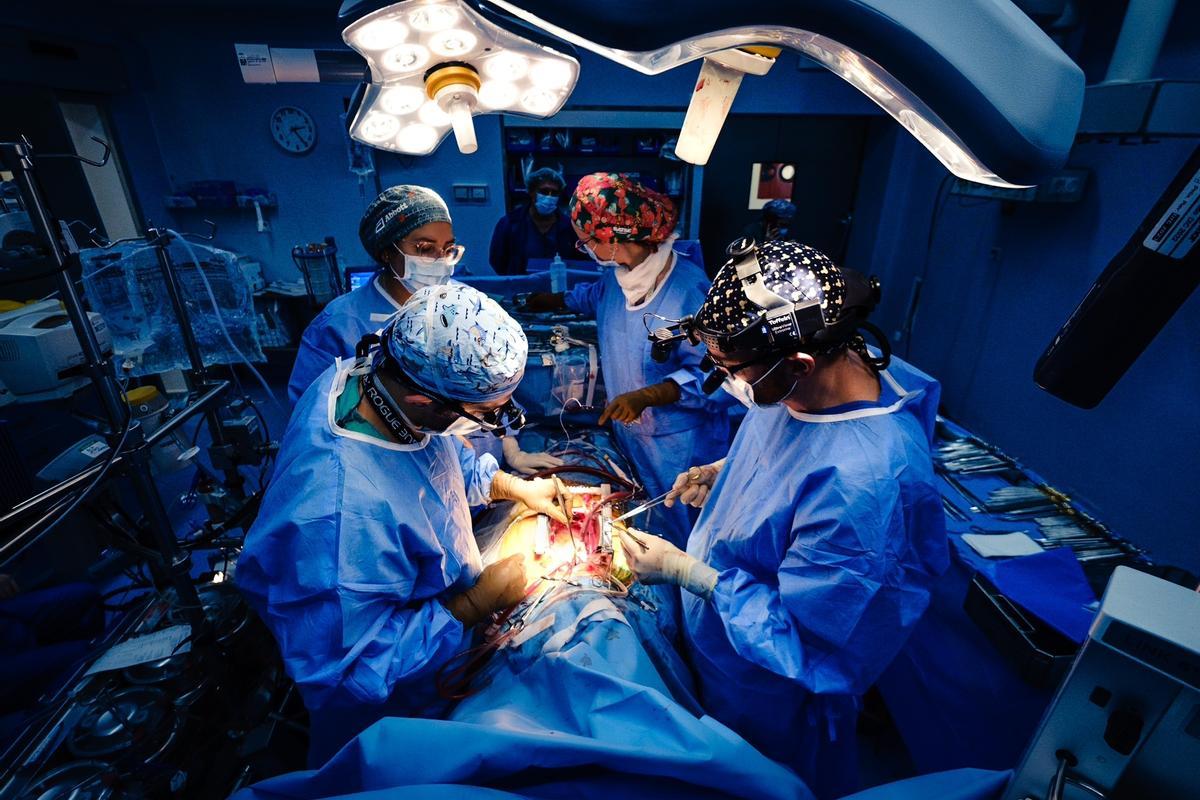 Un equipo de cirugía practica un trasplante en el hospital Reina Sofía.
