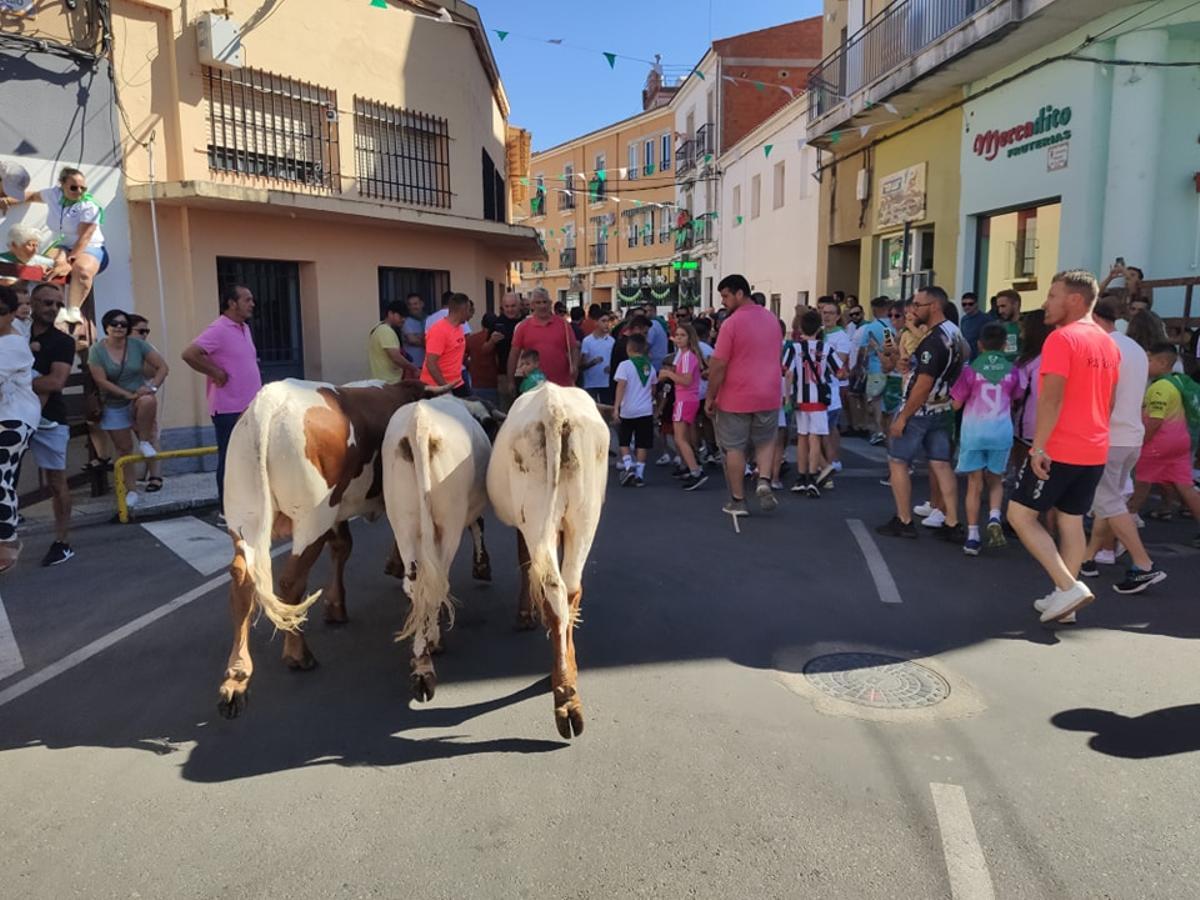 Uno de los actos taurinos celebrados en unas fiestas de San Buenaventura en un año anterior.