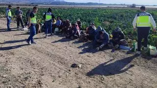 Más de cuarenta detenidos por explotación laboral en fincas agrícolas de Alhama y La Hoya