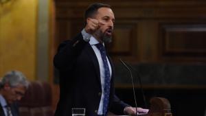 Santiago Abascal, durante su intervención en el Congreso el pasado día 4.