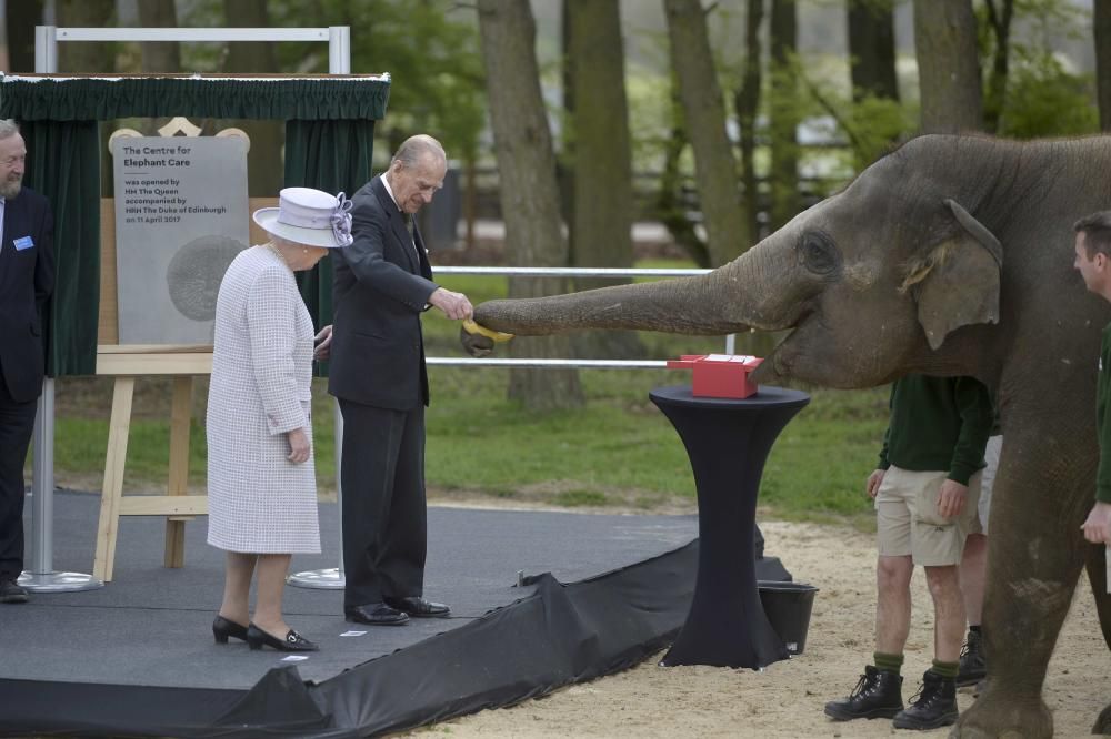 Isabel de Inglaterra da de comer a un elefante en un centro de cuidado de Reino Unido