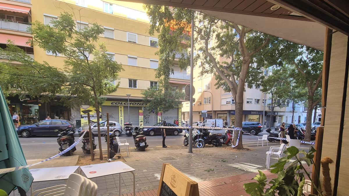 Dos heridos al caerles encima un suicida que se lanzó de un piso doce en Palma