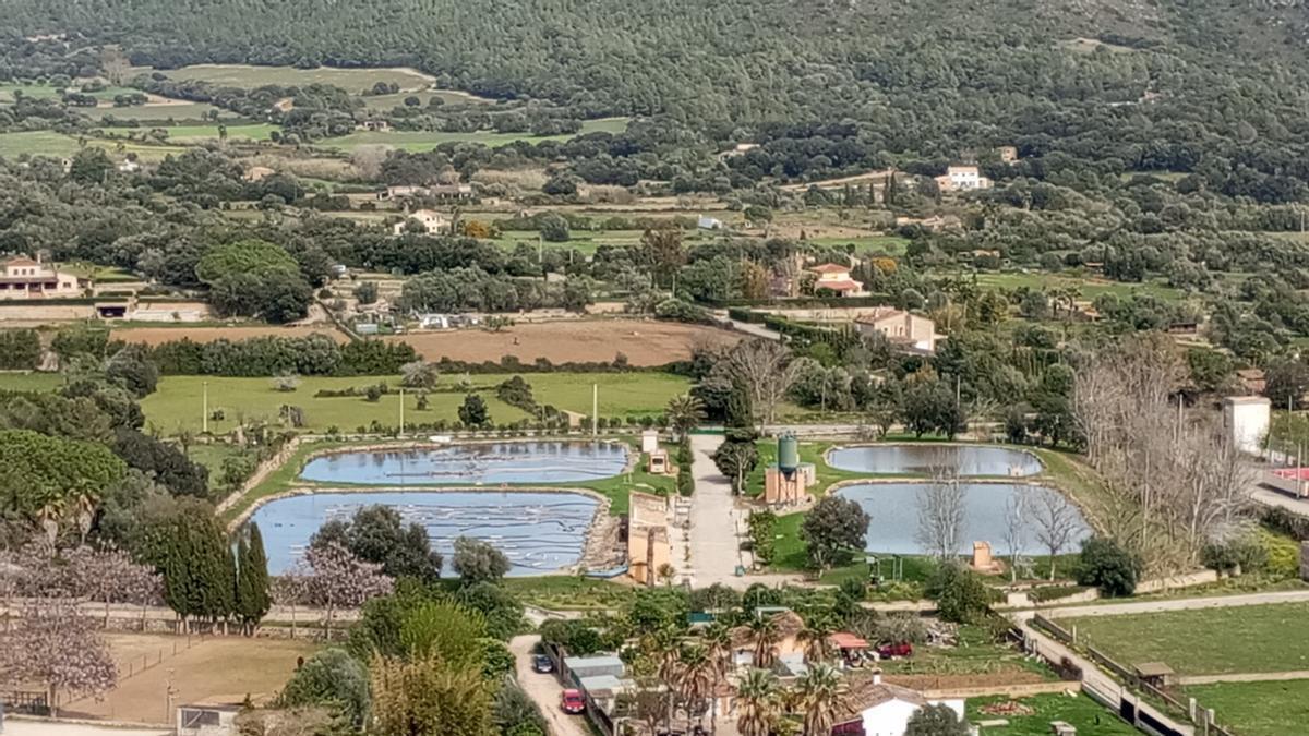 Una imagen de la estación depuradora de Artà.