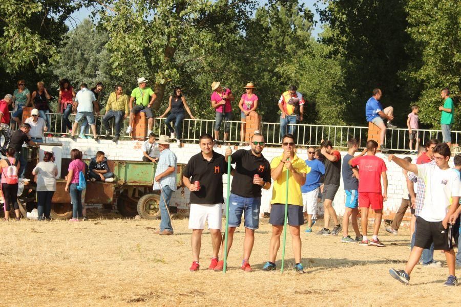 Fiestas en Zamora: Villamor de los Escuderos