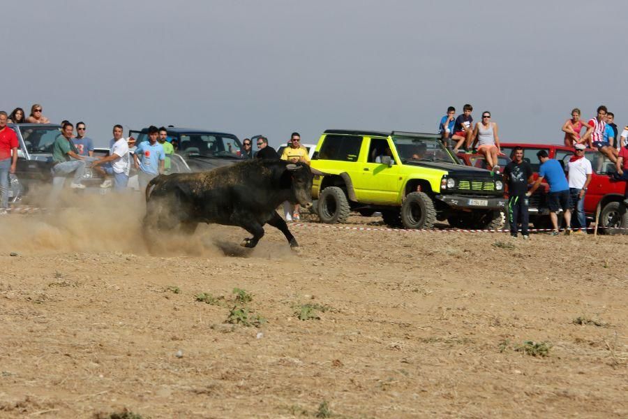 Villalpando despide los toros