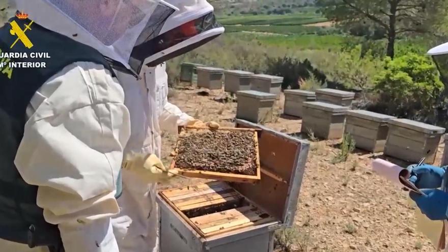 Once investigados en Valencia por comercializar 40 toneladas de miel contaminada con pesticidas de China