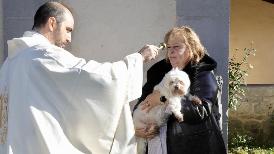 EN IMÁGENES: Bendición de mascotas en la iglesia de Priorio (Oviedo)