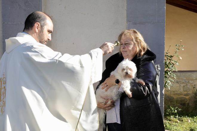 EN IMÁGENES: Bendición de mascotas en la iglesia de Priorio (Oviedo)