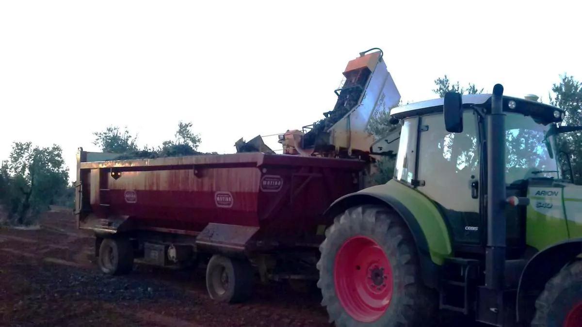 Un tractor en labores de vendimia.