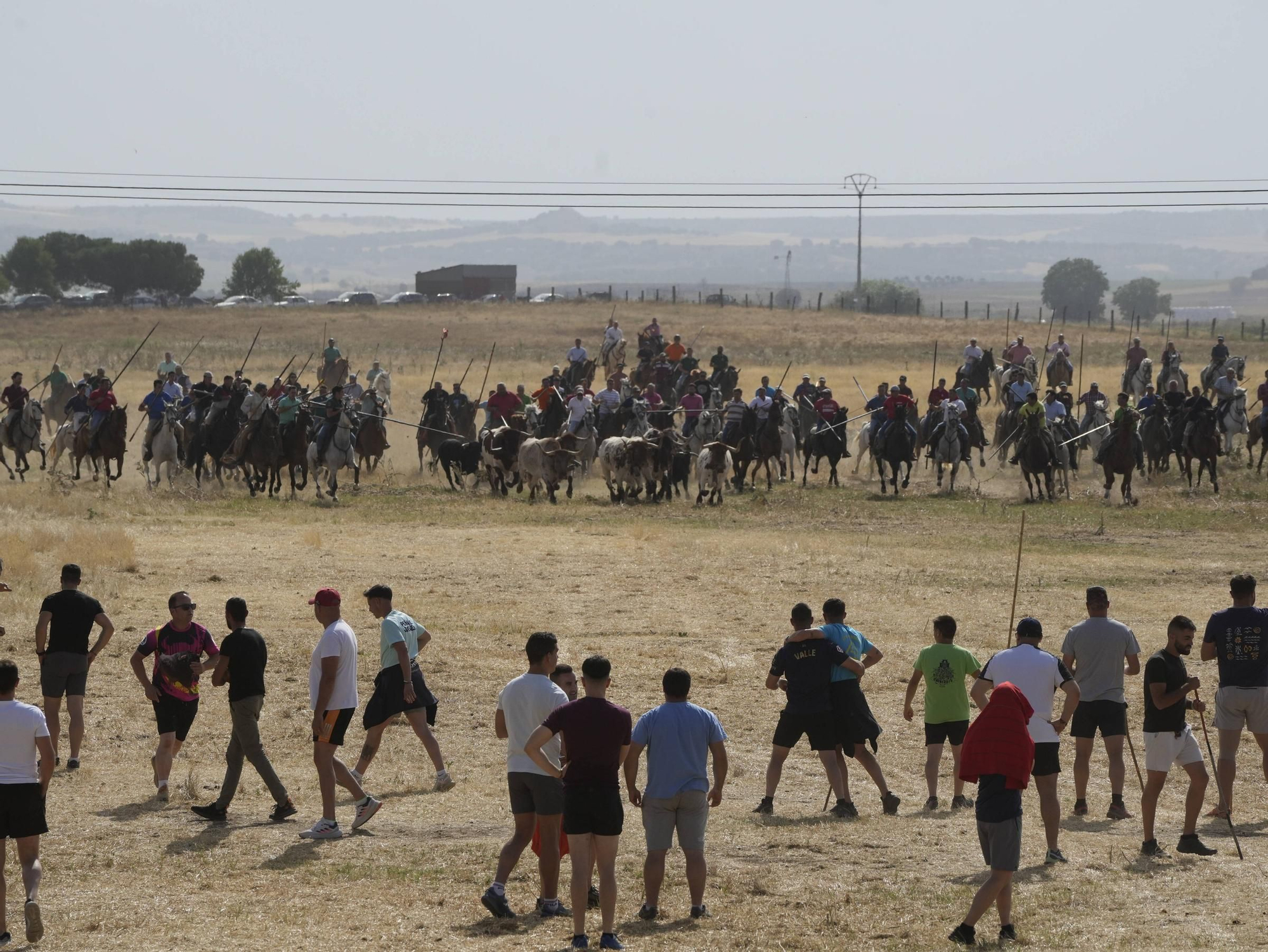 GALERÍA | Multitudinario encierro en la pradera de Guarrate
