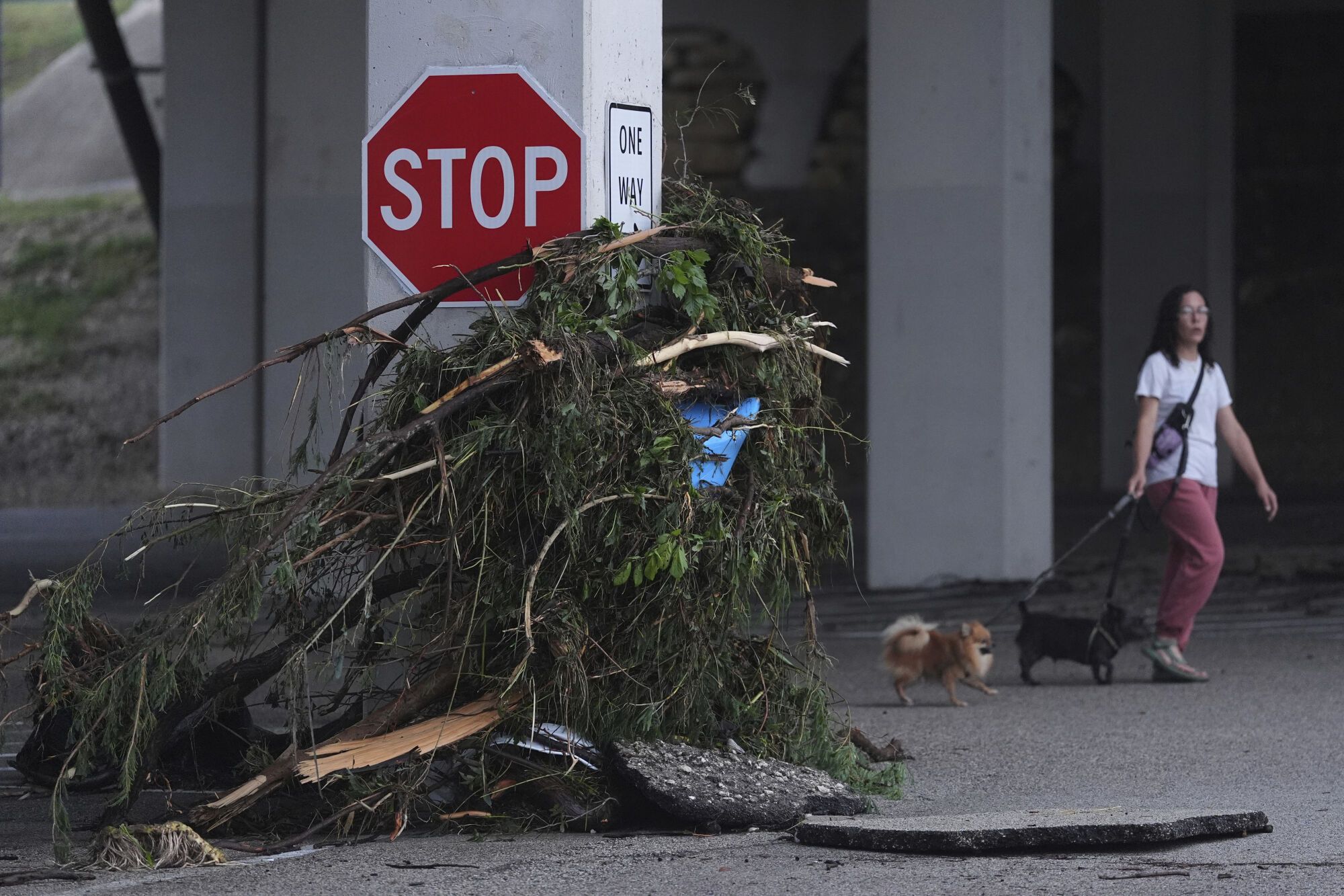 A woman walks her dogs along the Guadalupe River past debris left behind by a flash flood, Friday, July 4, 2025, in Kerrville, Texas. (AP Photo/Eric Gay)