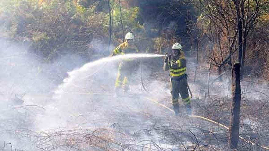 Un incendio en una finca próxima a unas casas en Estrigueiras alarma a los vecinos