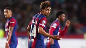 Joao Félix celebra su doblete frente al Amberes en la Champions