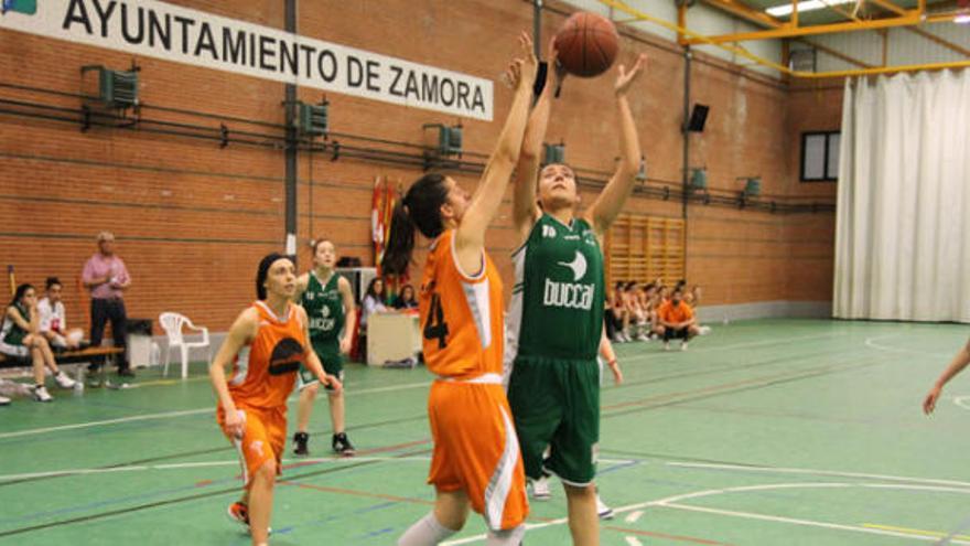 Una jugadora del Buccal lanza a canasta ante una de las chicas del Envialia.