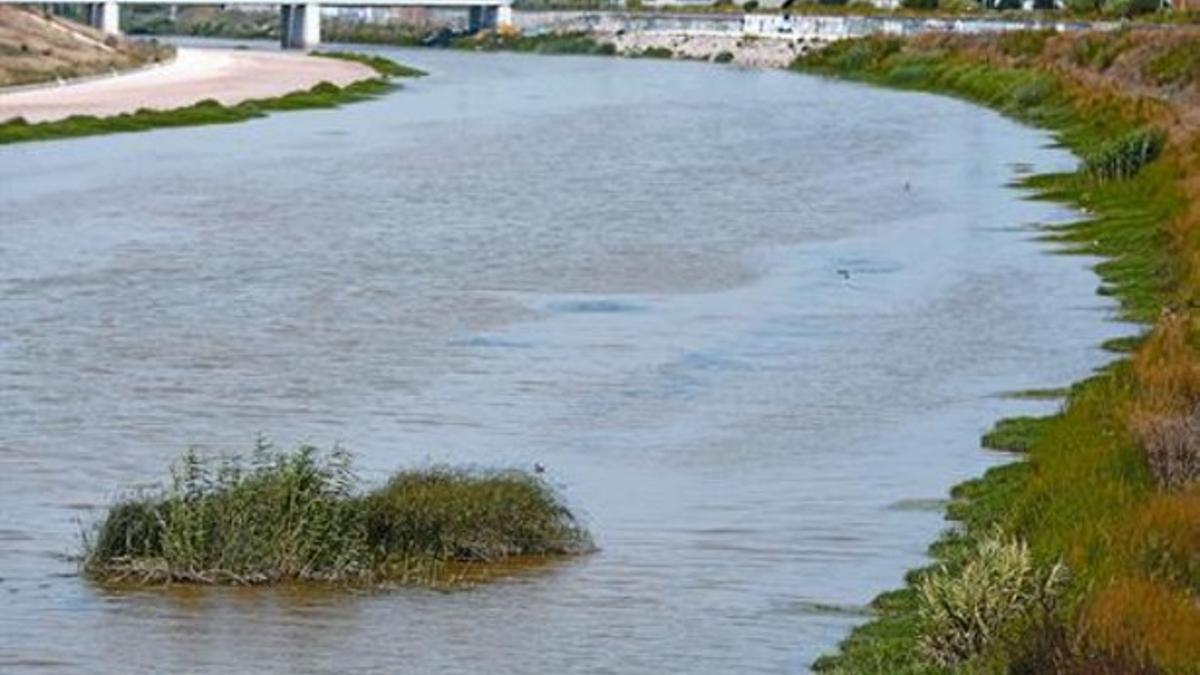 Tramo final del río Llobregat, a su paso por El Prat