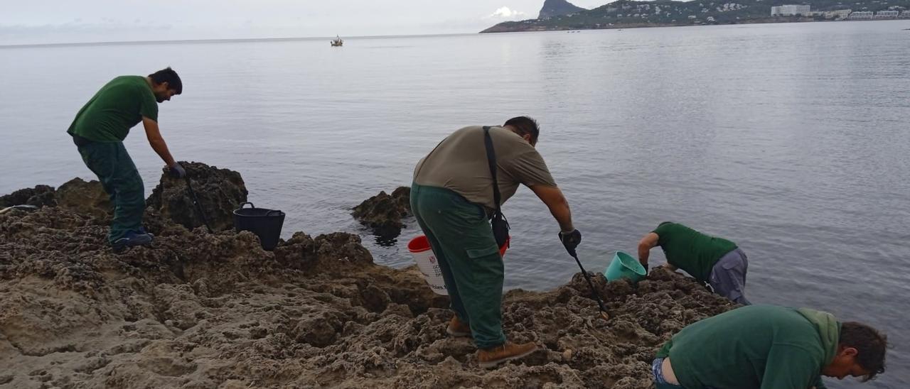 Algunas personas recogiendo toallitas de las rocas.