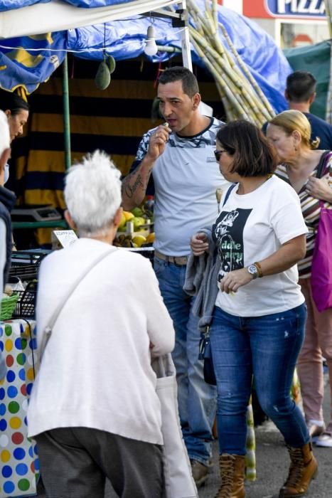 08-12-19 GRAN CANARIA. JINAMAR. JINAMAR. TELDE. Fiesta de la Inmaculade Concepcion y de la Caña Dulce de Jinamar, feria de ganado, procesión.. Fotos: Juan Castro.  | 08/12/2019 | Fotógrafo: Juan Carlos Castro