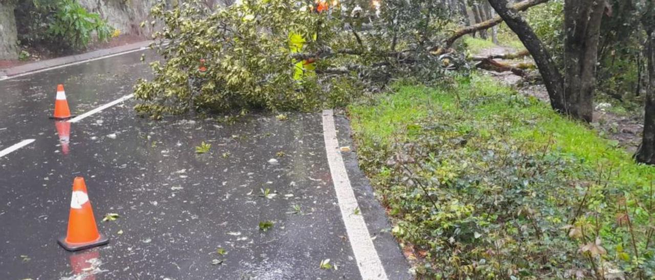 Una de las incidencias registradas en La Gomera.