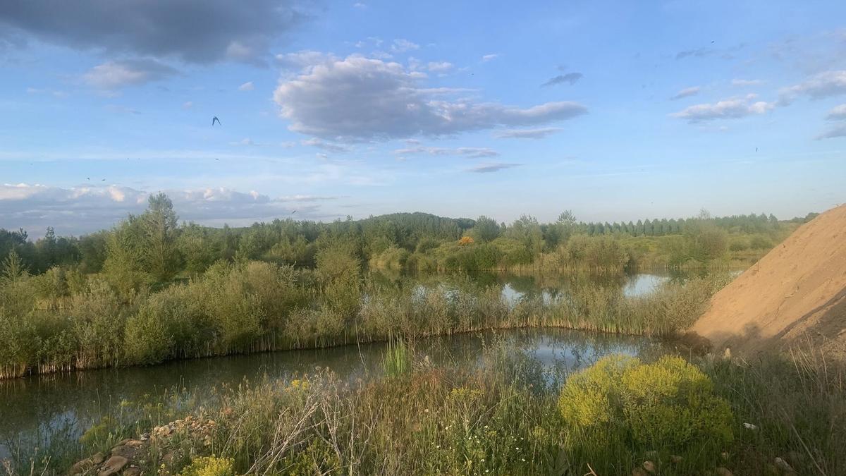 Lagunas del Chote, junto a la gravera de Carmarzana.