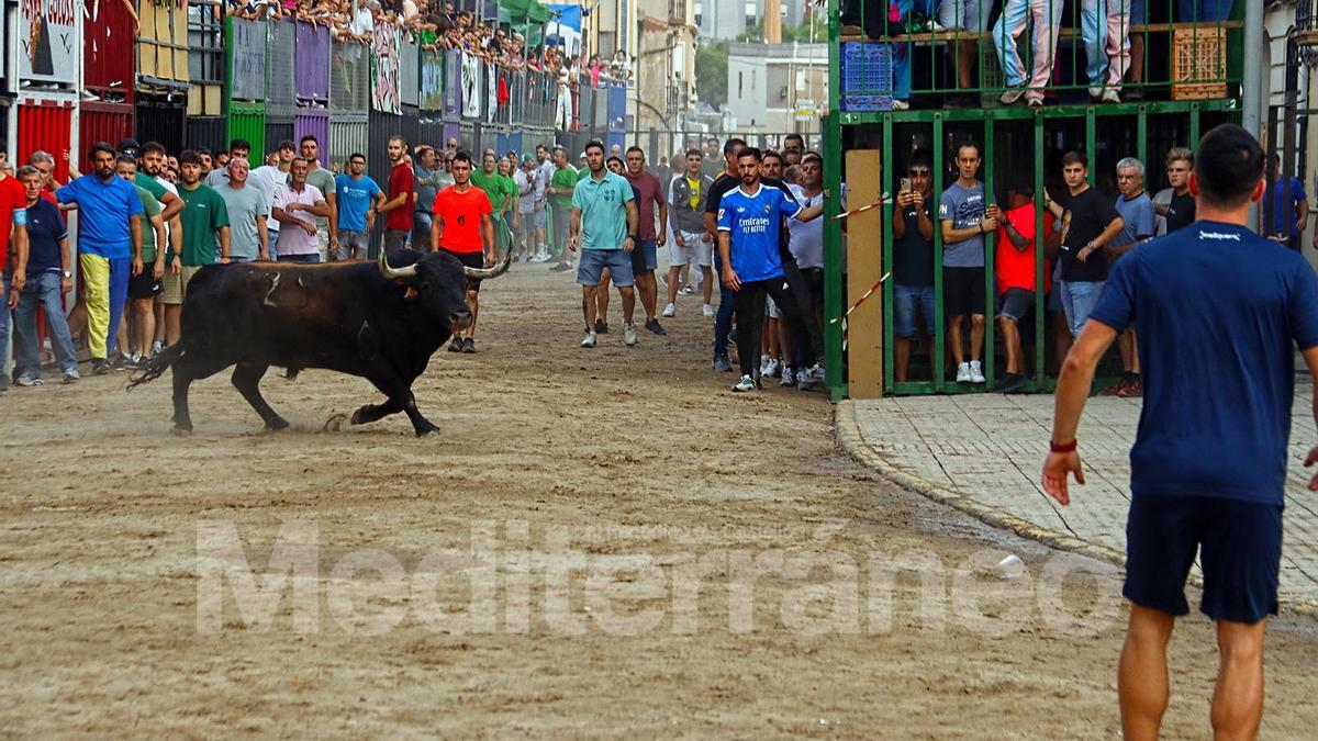 Bous a Almenara 2025