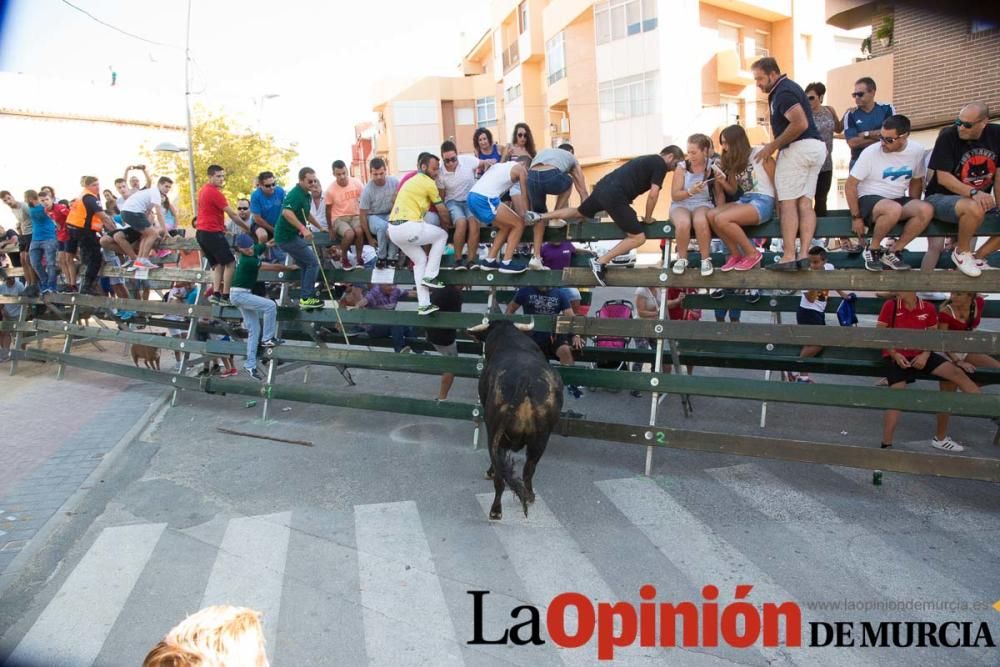 Primer encierro de Calasparra