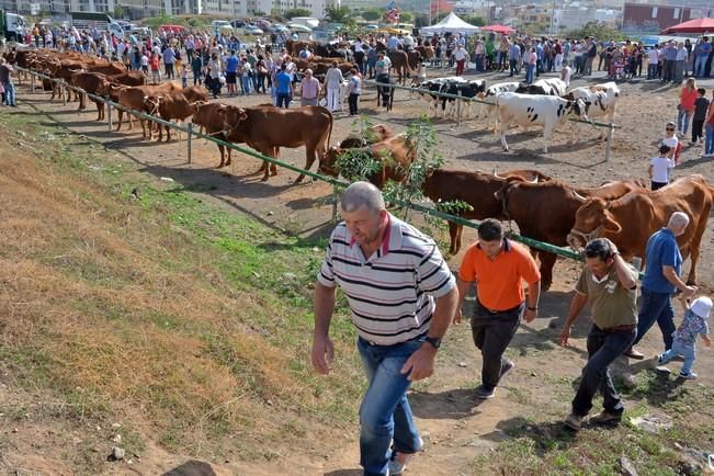 FIESTAS DE SAN GREGORIO