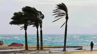 El viento se ceba en Cádiz con levante muy fuerte de hasta 80 km/h hasta el lunes, según Aemet