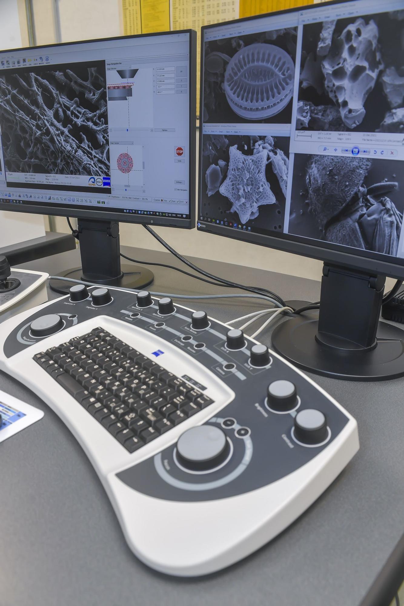 Servicio de Investigación en Microscopía avanzada confocal y electrónica de la ULPGC