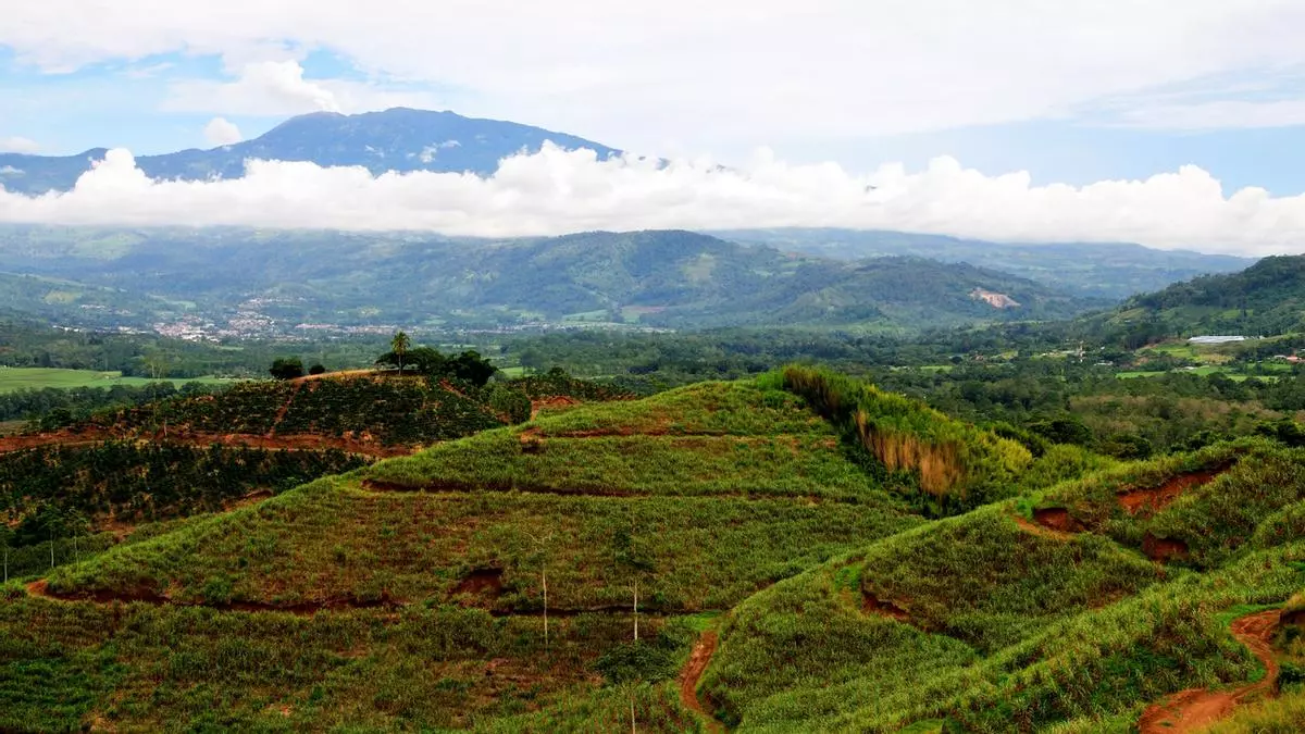 Descubre la belleza de Mollejones en Costa Rica