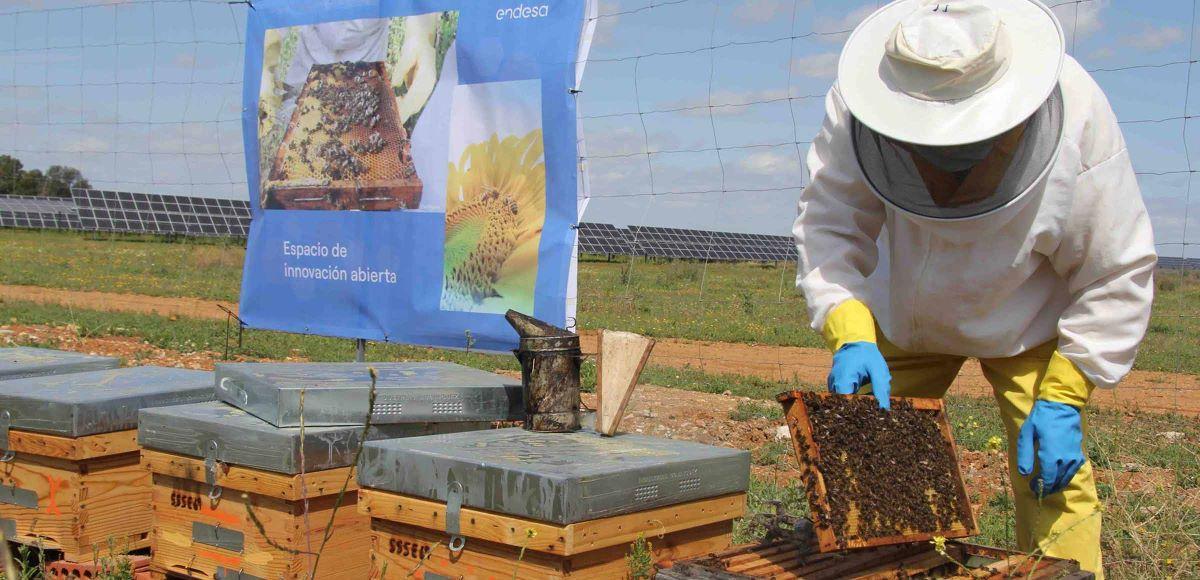 Un apicultor trabajando en la planta de Carmona