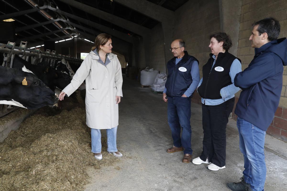 La directora general de Agricultura, Agroindustria y Desarrollo Rural, Begoña López, junto a los representantes de las cooperativas solicitantes de las ayudas.
