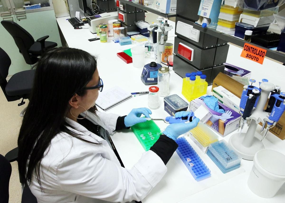 Investigadora del Instituto de Investigación Sanitaria Galicia Sur en su sede de Vigo (Pontevedra, Galicia)
