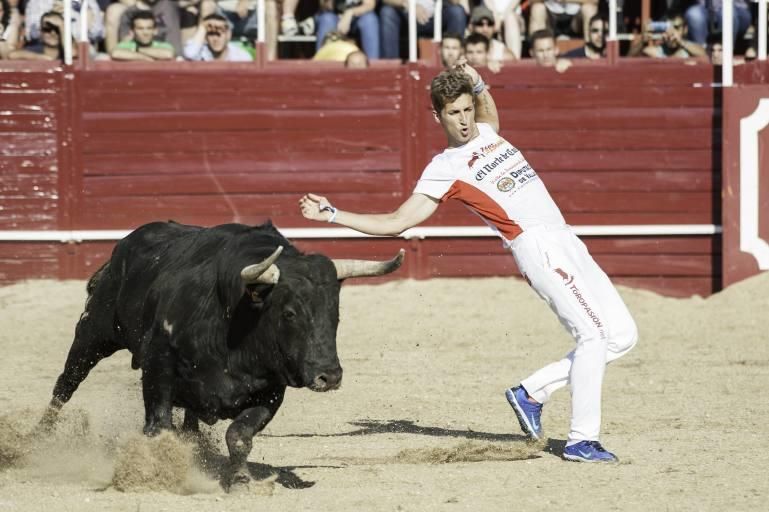 Concurso de cortes en la Plaza de Toros de Benaven