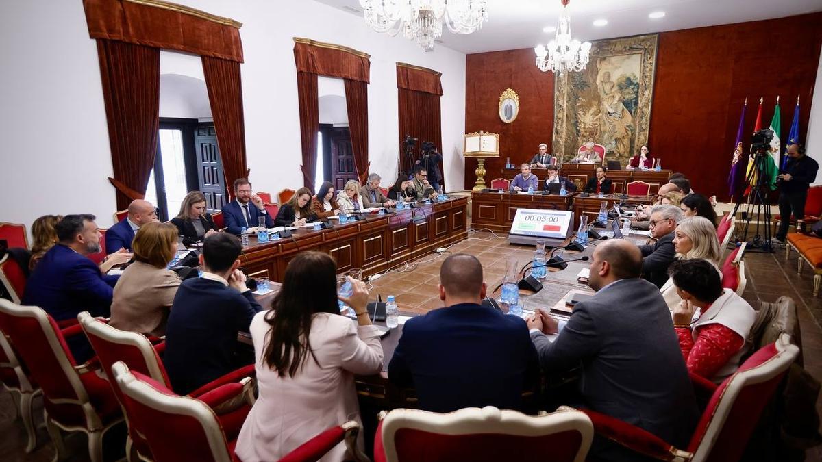 Un momento del pleno extraordinario celebrado este viernes en la Diputación de Córdoba.