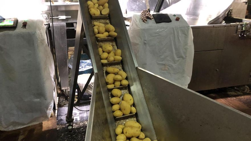 El proceso de elaboración de las patatas fritas El Gallo, en imágenes